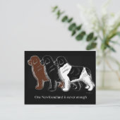 Bruin zwart en bruin Newfoundland Briefkaart (Staand voorkant)