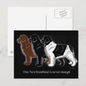 Bruin zwart en bruin Newfoundland Briefkaart (Voorkant / Achterkant)