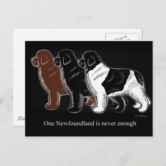 Bruin zwart en bruin Newfoundland Briefkaart (Voorkant / Achterkant)