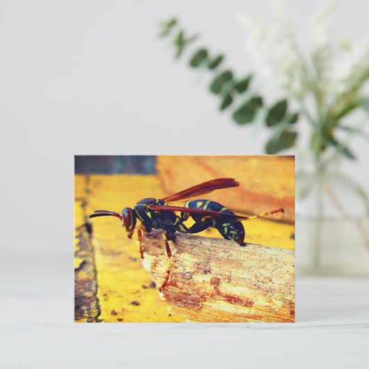 Bruin zwart geel Noordelijk Papier Wasp Grooming Briefkaart (Staand voorkant)