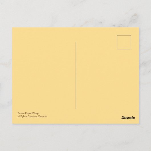 Bruin zwart geel Noordelijk Papier Wasp Grooming Briefkaart (Achterkant)
