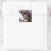 Bruin / Zwart Labrador Retriever Dog Sticker (Tas)