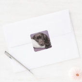 Bruin / Zwart Labrador Retriever Dog Sticker (Envelop)