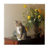 Bruin zwarte tablet katten Zitten op pianolemen Tegeltje (Voorkant)