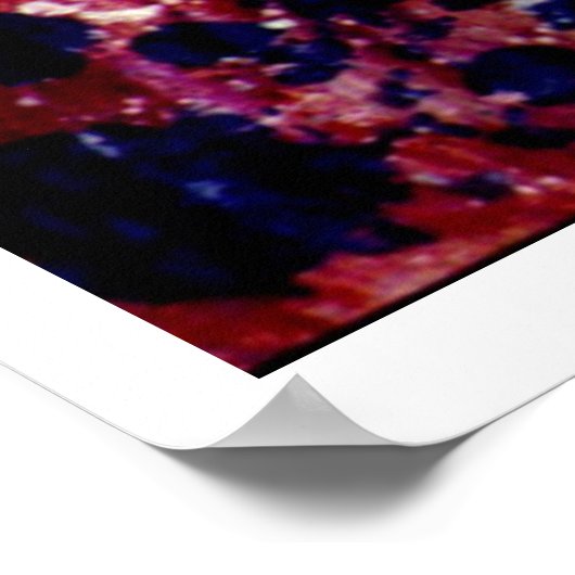 BruinBlues uitslaan Poster (Hoek)