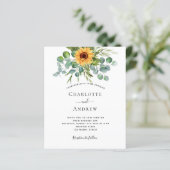 Bruinbruinkoolzonnebloemen eucalyptusblauw (Staand voorkant)