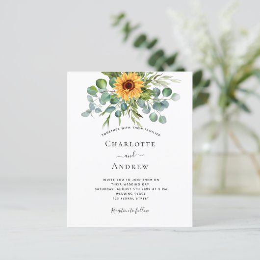 Bruinbruinkoolzonnebloemen eucalyptusblauw (Staand voorkant)