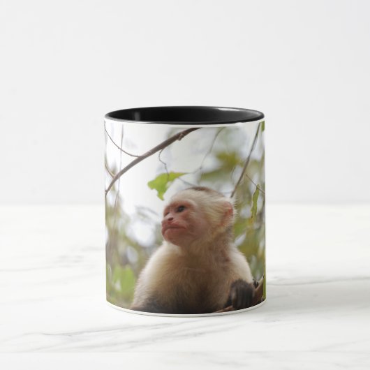 Bruine aap - witte capuchin mok (Midden)