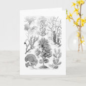 Bruine Algen Kaart (Gele Bloem)