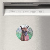 Bruine Alpaca Magneet (Insitu (Vaatwasser))