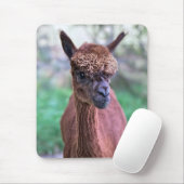 Bruine Alpacamuismat Muismat (Met muis)