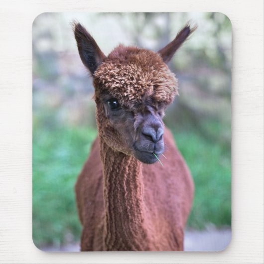 Bruine Alpacamuismat Muismat (Voorkant)