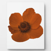 Bruine Anemone Plaquette Fotoplaat (Voorkant)