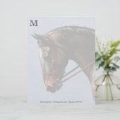 Bruine Baai Oldenburg Paardenportret Briefhoofd Sjabloon (Staand voorkant)