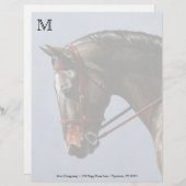 Bruine Baai Oldenburg Paardenportret Briefhoofd Sjabloon (Voorkant / Achterkant)