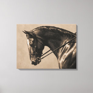 Bruine Baai Oldenburg Paardenportret Sepia Canvas Afdruk