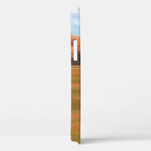 Bruine baai Quarter Horse Stallion Case-Mate iPhone Case (Achterkant / Rechts)