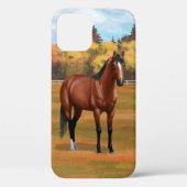 Bruine baai Quarter Horse Stallion Case-Mate iPhone Case (Achterkant)