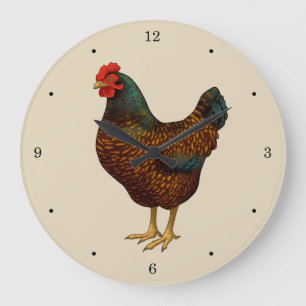 Bruine Barnevelder Hen Kip Grote Klok
