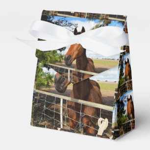 Bruine Bay Horse, Gift Favor Box Bedankdoosjes