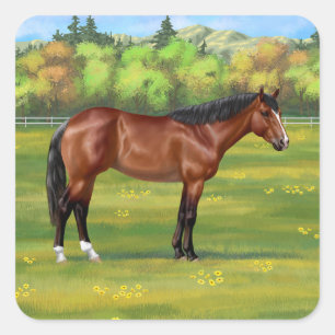 Bruine Bay Quarter Horse Vierkante Sticker