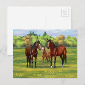 Bruine bazardpaarden in zomerperiode briefkaart (Voorkant / Achterkant)