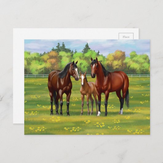 Bruine bazardpaarden in zomerperiode briefkaart (Voorkant / Achterkant)