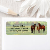 Bruine bazardpaarden in zomerperiode etiket (Insitu)