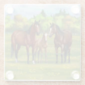 Bruine bazardpaarden in zomerperiode glazen onderzetter (Achterkant)