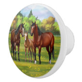 Bruine bazardpaarden in zomerperiode keramische knop (Rechts)