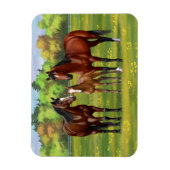 Bruine bazardpaarden in zomerperiode magneet (Verticaal)