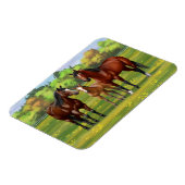 Bruine bazardpaarden in zomerperiode magneet (Linkerzijde)