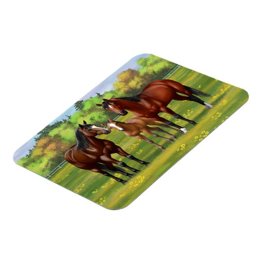 Bruine bazardpaarden in zomerperiode magneet (Linkerzijde)