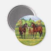 Bruine bazardpaarden in zomerperiode magneet (Voorkant / Achterkant)