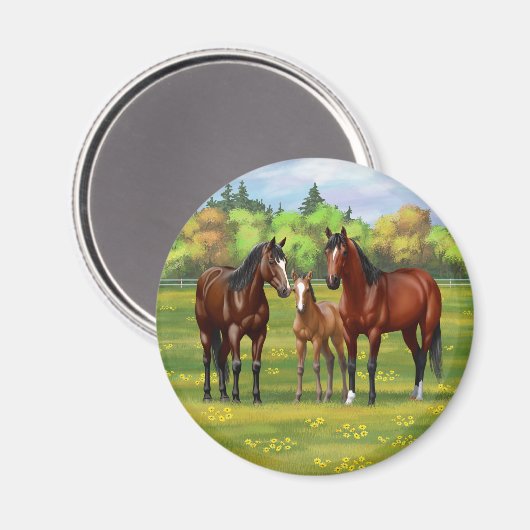 Bruine bazardpaarden in zomerperiode magneet (Voorkant / Achterkant)