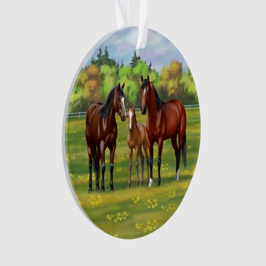 Bruine bazardpaarden in zomerperiode ornament (voorkant)