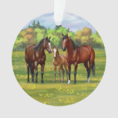 Bruine bazardpaarden in zomerperiode ornament (voorkant)