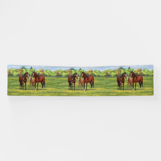 Bruine bazardpaarden in zomerperiode spandoek (Horizontaal)