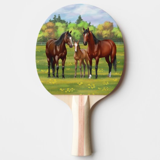 Bruine bazardpaarden in zomerperiode tafeltennisbatje (Voorkant)