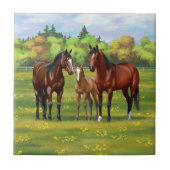 Bruine bazardpaarden in zomerperiode tegeltje (Voorkant)
