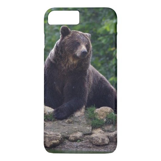Bruine beer Case-Mate iPhone case (Achterkant)