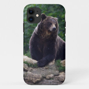 Bruine beer Case-Mate iPhone case