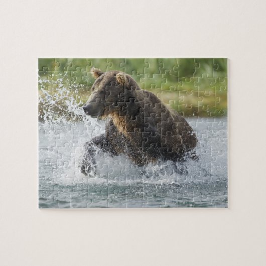 Bruine beer die zalm achterna zit in rivier legpuzzel (Horizontaal)