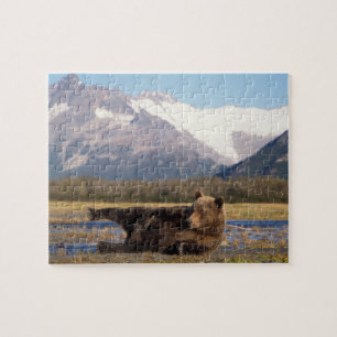 Bruine beer, grizzlybeer die zich op de rug uitstr legpuzzel