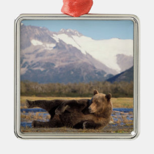 Bruine beer, grizzlybeer die zich uitstrekt op zij metalen ornament