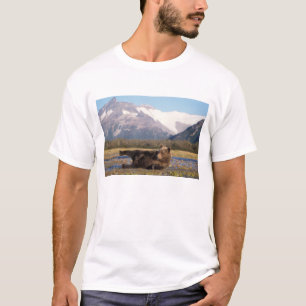Bruine beer, grizzlybeer die zich uitstrekt op zij t-shirt
