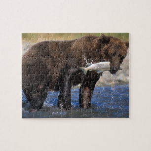 Bruine beer, grizzlybeer, met zalmvangst, legpuzzel