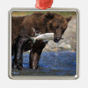 Bruine beer, grizzlybeer, met zalmvangst, metalen ornament
