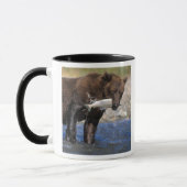Bruine beer, grizzlybeer, met zalmvangst, mok (Links)