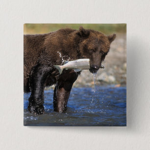 Bruine beer, grizzlybeer, met zalmvangst, vierkante button 5,1 cm